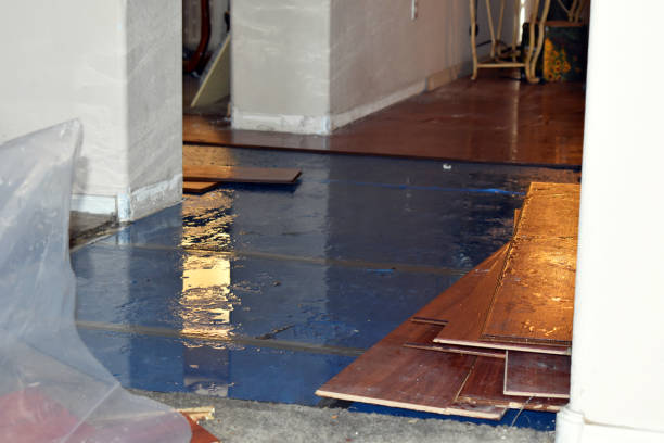 Professional Basement Flood Cleanup technician working in Gregory, MI