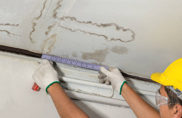 Reliable Basement Flood Cleanup contractor in Gregory, MI by Aqua Guard Water Damage